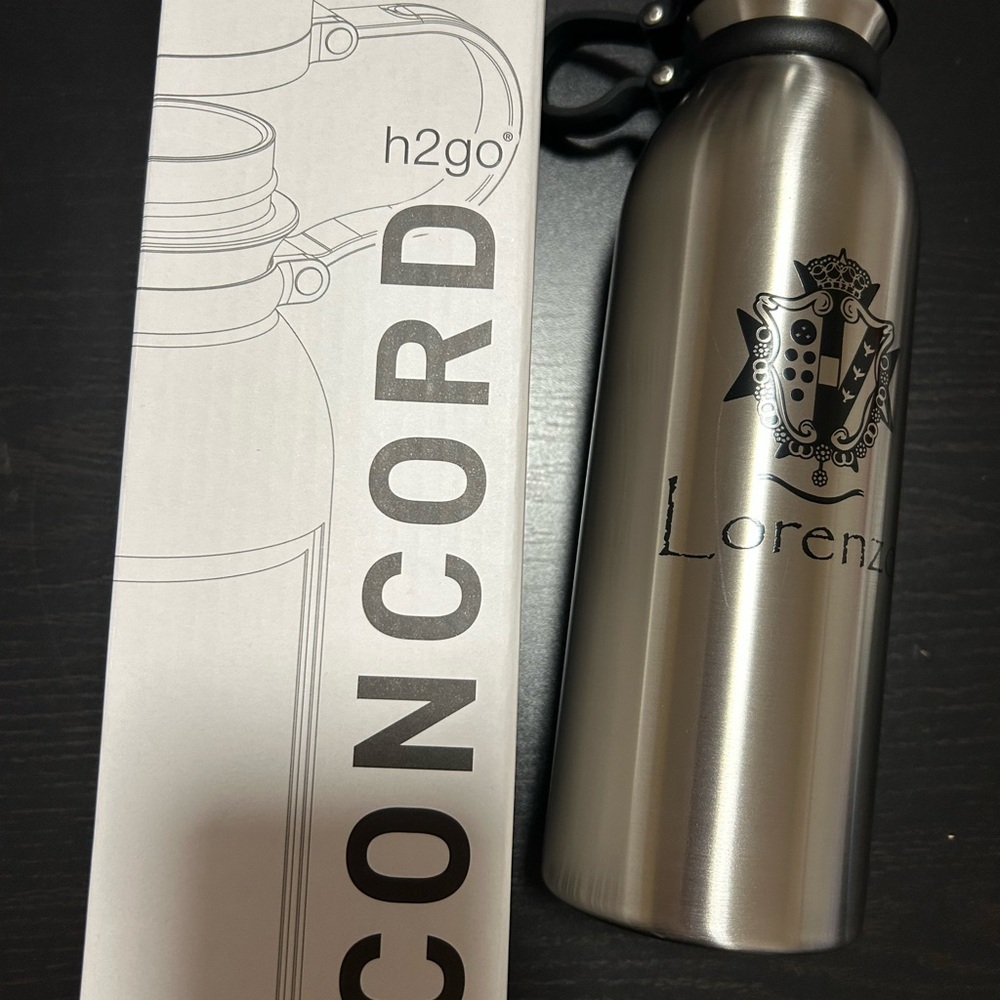 H2go Silver Stainless Steel Bottle